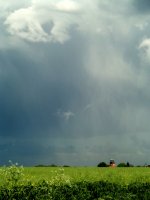 09.halas z nebe odchází.jpg