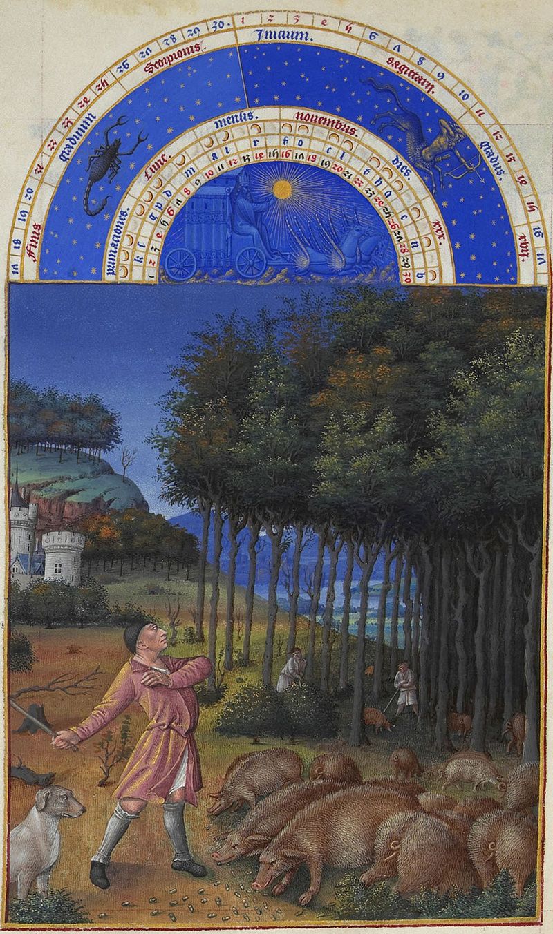 listopad Les Trs Riches Heures du duc de Berry novembre