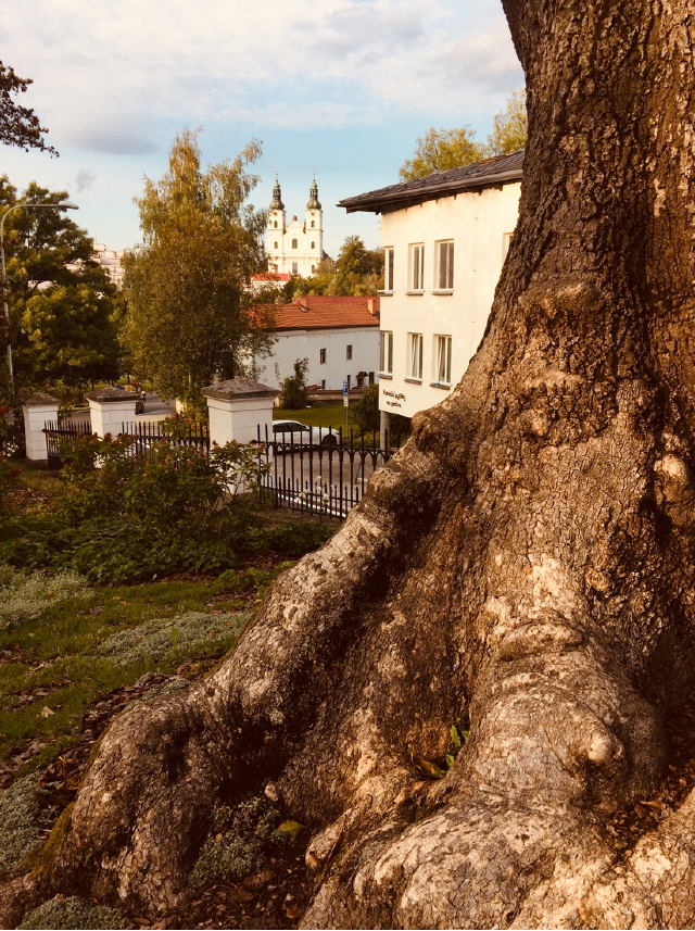  kostel